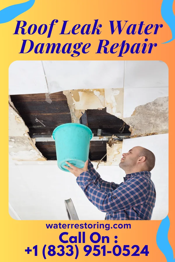 Roof Leak Water Damage Repair in Velva, ND